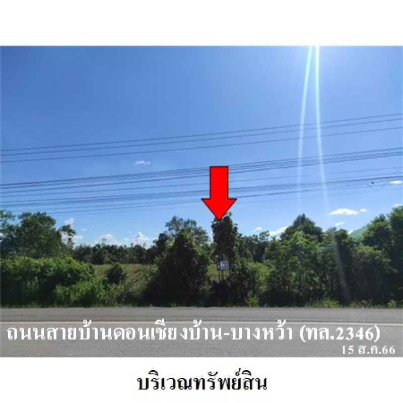ที่ดินเปล่า นครพนม นาหว้า นางัว 2010000