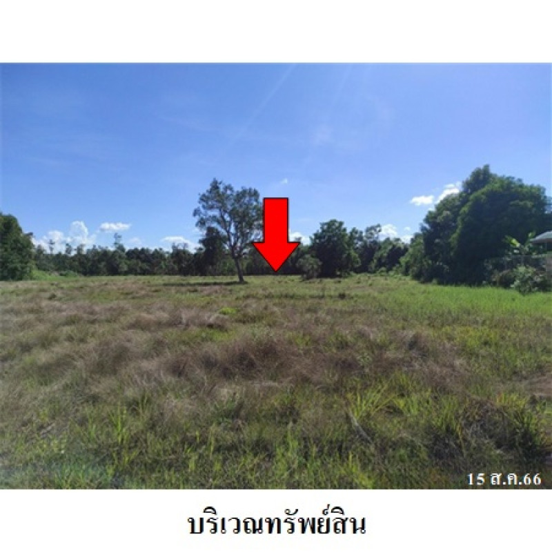 ที่ดินเปล่า นครพนม นาหว้า นางัว 2010000