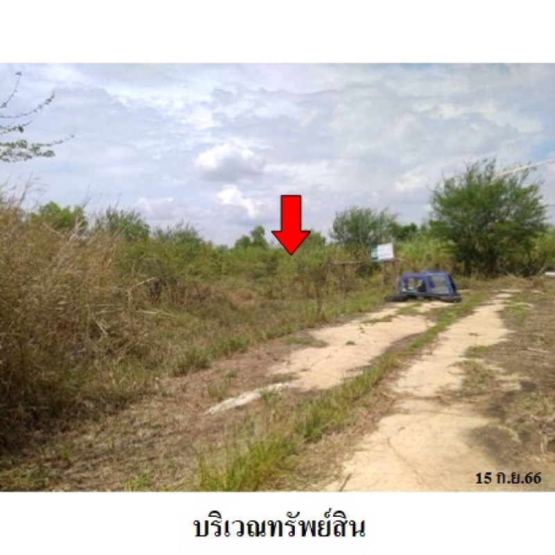 ที่ดินเปล่า สวนเกษตรปิ่นทองแลนด์ นครปฐม บางเลน บัวปากท่า 230000