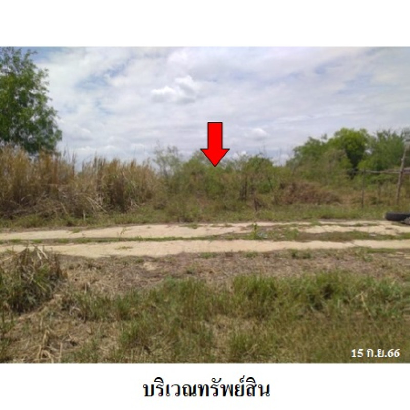 ที่ดินเปล่า สวนเกษตรปิ่นทองแลนด์ นครปฐม บางเลน บัวปากท่า 230000