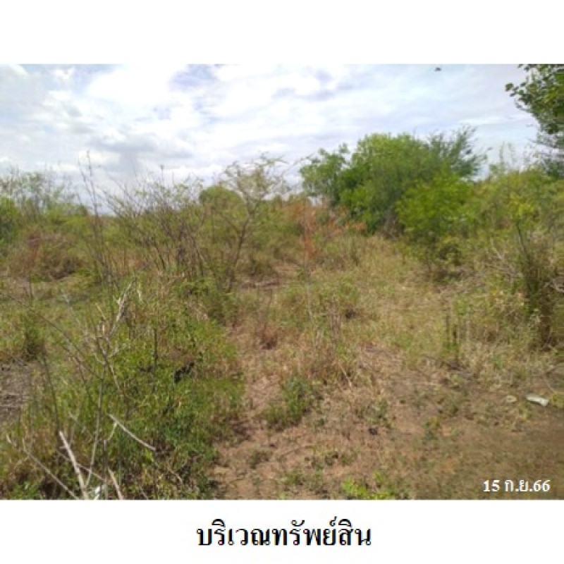ที่ดินเปล่า สวนเกษตรปิ่นทองแลนด์ นครปฐม บางเลน บัวปากท่า 230000