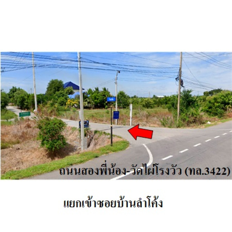 ที่ดินเปล่า สวนเกษตรปิ่นทองแลนด์ นครปฐม บางเลน บัวปากท่า 230000