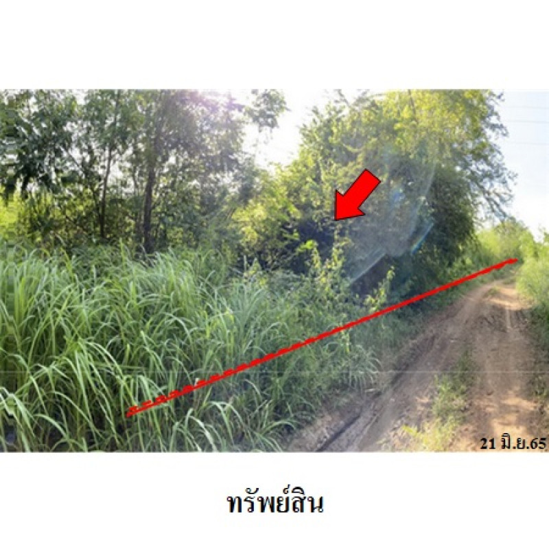 ที่ดินเปล่า เพชรบูรณ์การ์เด้นฮิลล์ เพชรบูรณ์ บึงสามพัน กันจุ 159000