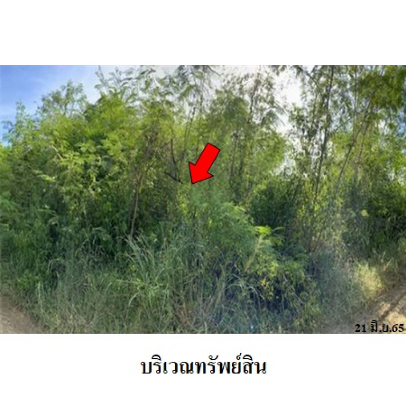 ที่ดินเปล่า เพชรบูรณ์การ์เด้นฮิลล์ เพชรบูรณ์ บึงสามพัน กันจุ 159000