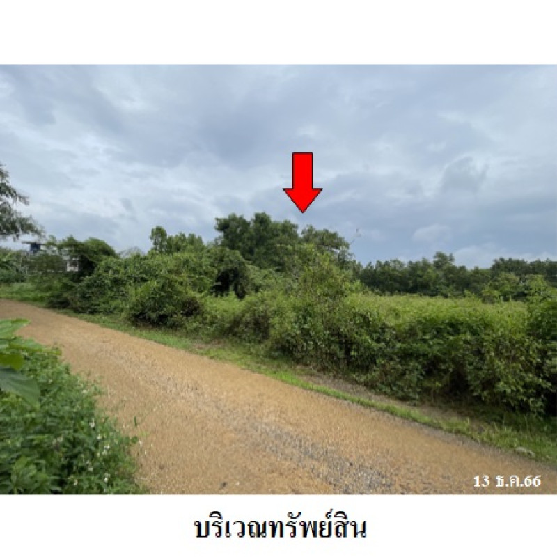 Residential land/lot Songkhla Hat Yai Khlong Hae 5961800