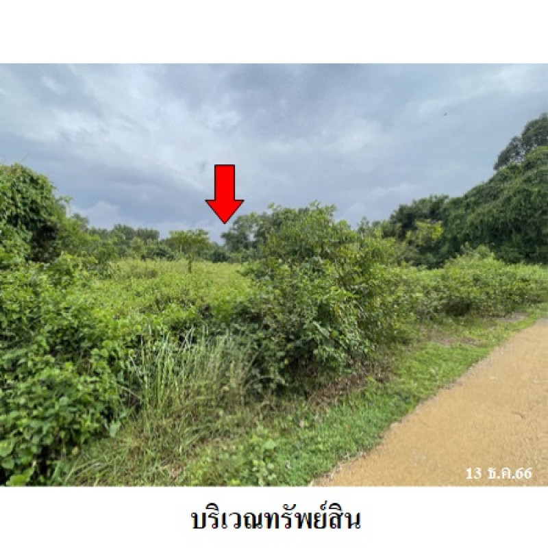 Residential land/lot Songkhla Hat Yai Khlong Hae 5961800