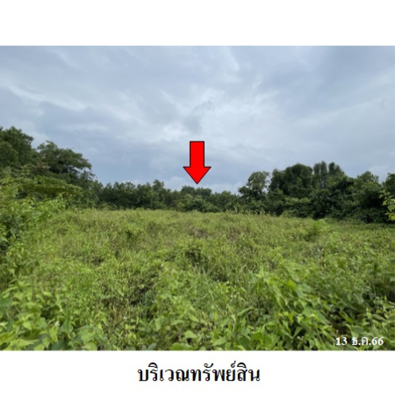 Residential land/lot Songkhla Hat Yai Khlong Hae 5961800
