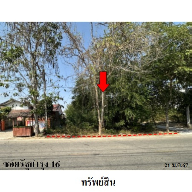 ที่ดินเปล่า ประจวบคีรีขันธ์ ปราณบุรี เขาน้อย 561000