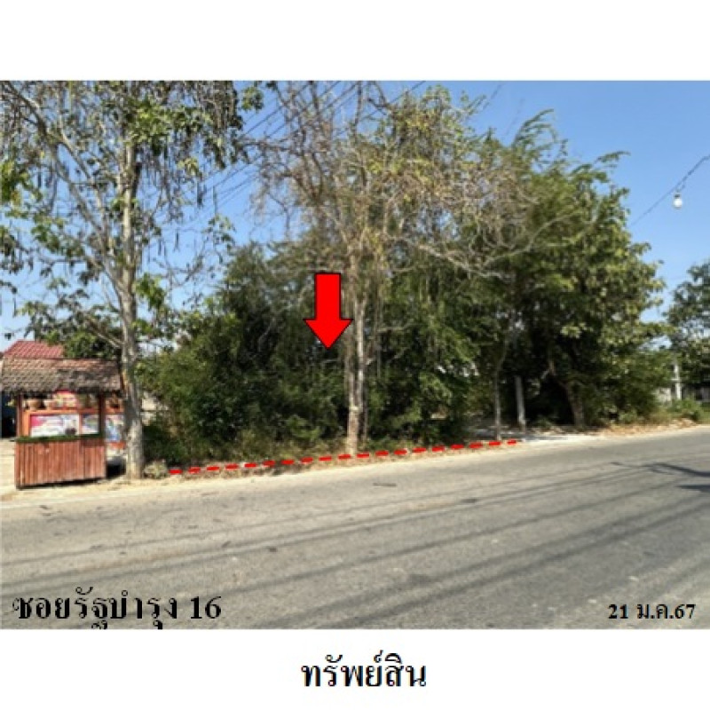 ที่ดินเปล่า ประจวบคีรีขันธ์ ปราณบุรี เขาน้อย 561000