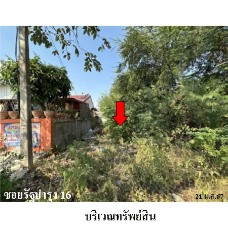 ที่ดินเปล่า ประจวบคีรีขันธ์ ปราณบุรี เขาน้อย 561000