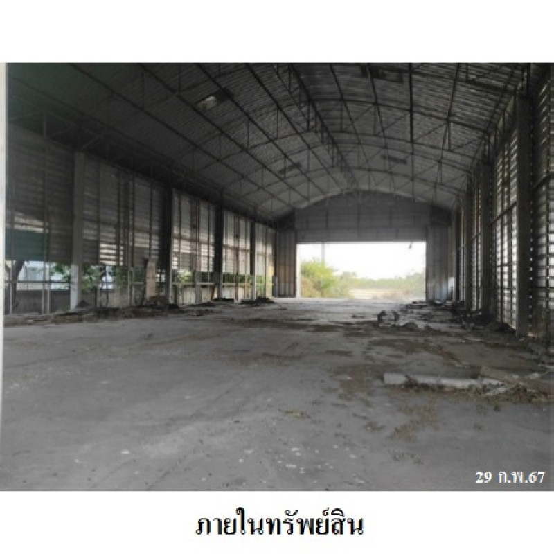โรงงาน/โกดัง สุรินทร์ ท่าตูม ทุ่งกุลา 8713300
