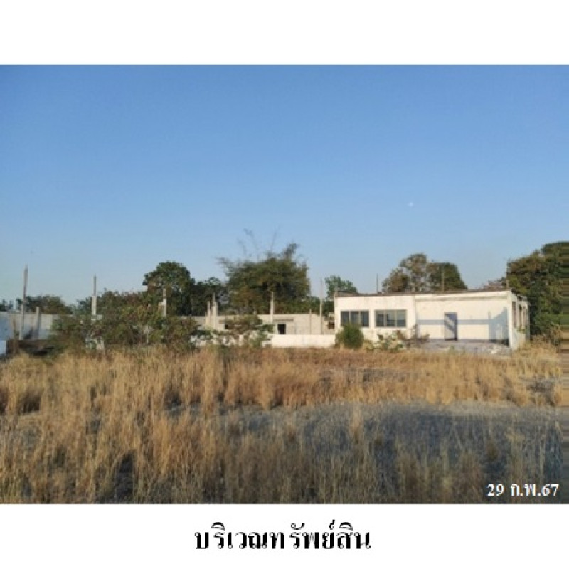 โรงงาน/โกดัง สุรินทร์ ท่าตูม ทุ่งกุลา 8713300