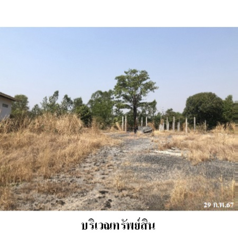 โรงงาน/โกดัง สุรินทร์ ท่าตูม ทุ่งกุลา 8713300