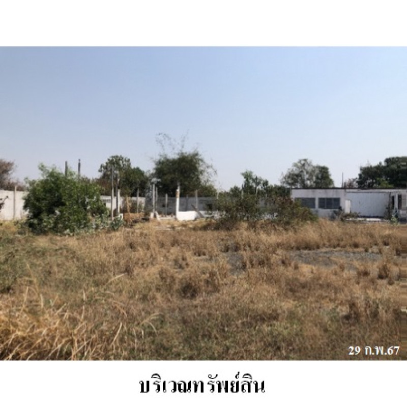 โรงงาน/โกดัง สุรินทร์ ท่าตูม ทุ่งกุลา 8713300