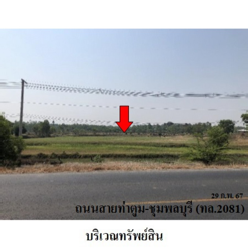 ที่ดินเปล่า สุรินทร์ ท่าตูม พรมเทพ 2551700