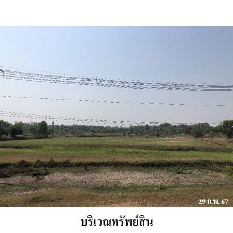 ที่ดินเปล่า สุรินทร์ ท่าตูม พรมเทพ 2551700