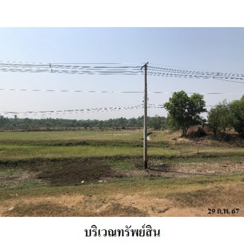 ที่ดินเปล่า สุรินทร์ ท่าตูม พรมเทพ 2551700