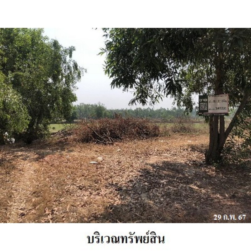 ที่ดินเปล่า สุรินทร์ ท่าตูม พรมเทพ 2551700