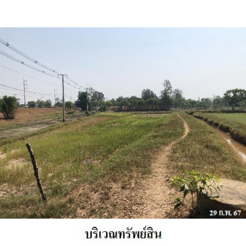 ที่ดินเปล่า สุรินทร์ ท่าตูม พรมเทพ 2551700