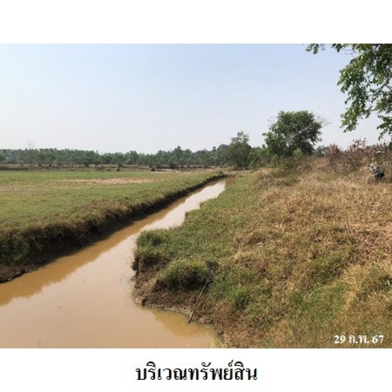 ที่ดินเปล่า สุรินทร์ ท่าตูม พรมเทพ 2551700