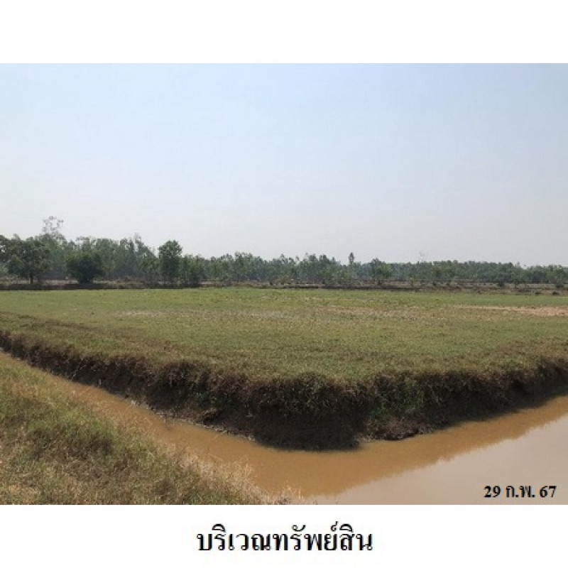 ที่ดินเปล่า สุรินทร์ ท่าตูม พรมเทพ 2551700