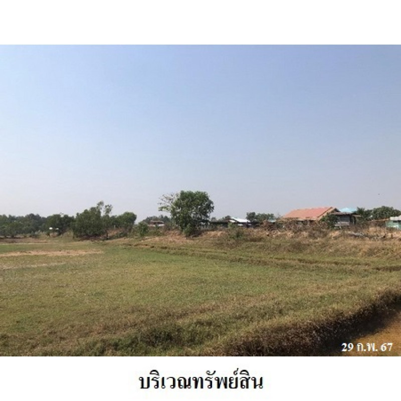 ที่ดินเปล่า สุรินทร์ ท่าตูม พรมเทพ 2551700