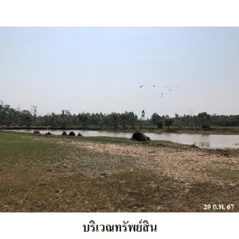 ที่ดินเปล่า สุรินทร์ ท่าตูม พรมเทพ 2551700