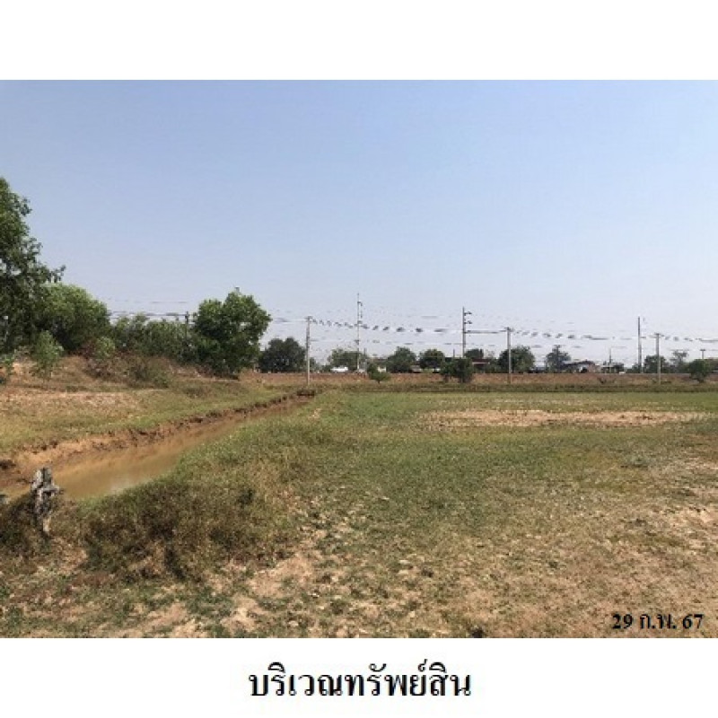 ที่ดินเปล่า สุรินทร์ ท่าตูม พรมเทพ 2551700