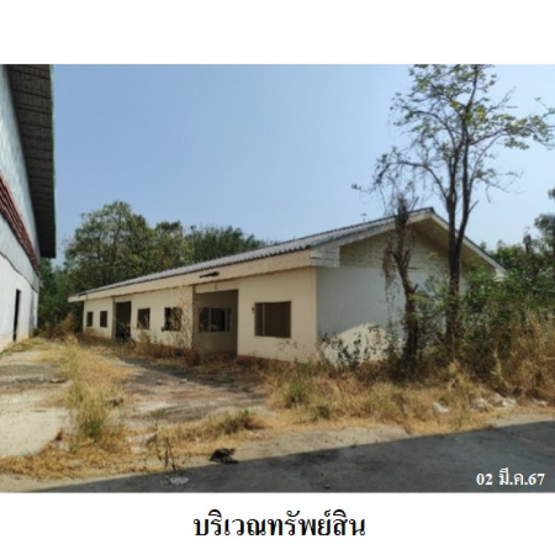 โรงงาน/โกดัง ร้อยเอ็ด พนมไพร วารีสวัสดิ์ 17000000