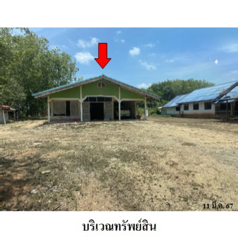 บ้านเดี่ยว สตูล ท่าแพ ท่าแพ 2450900