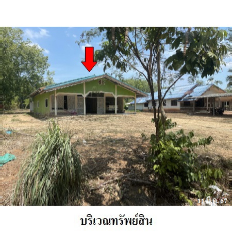บ้านเดี่ยว สตูล ท่าแพ ท่าแพ 2450900