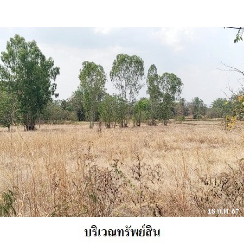 ที่ดินเปล่า นครราชสีมา สีคิ้ว กฤษณา 3210000