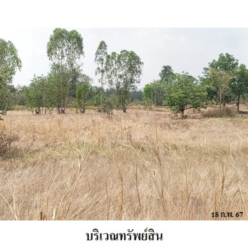 ที่ดินเปล่า นครราชสีมา สีคิ้ว กฤษณา 3210000