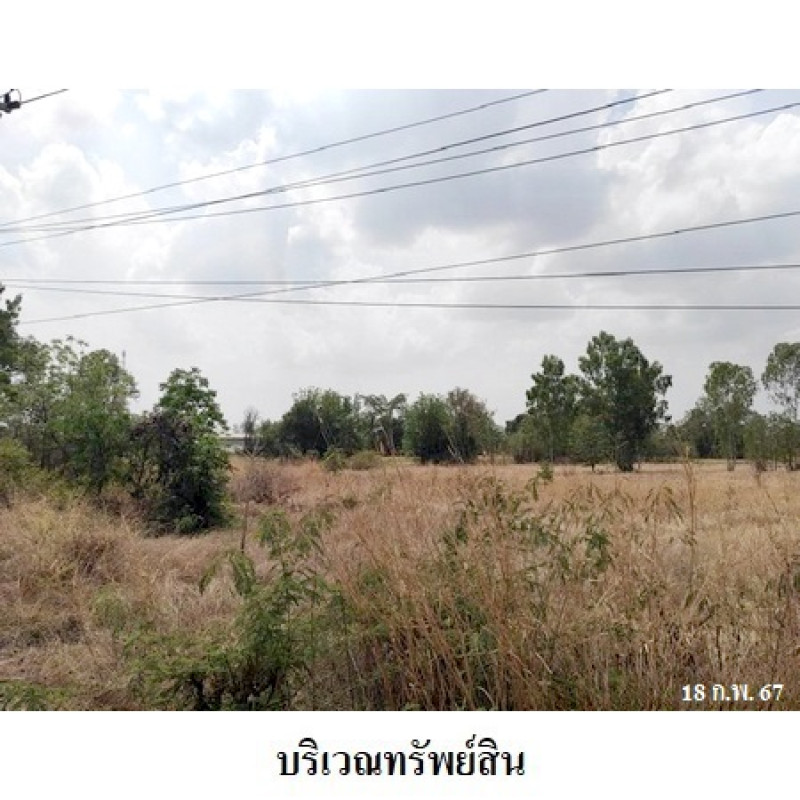 ที่ดินเปล่า นครราชสีมา สีคิ้ว กฤษณา 2400000