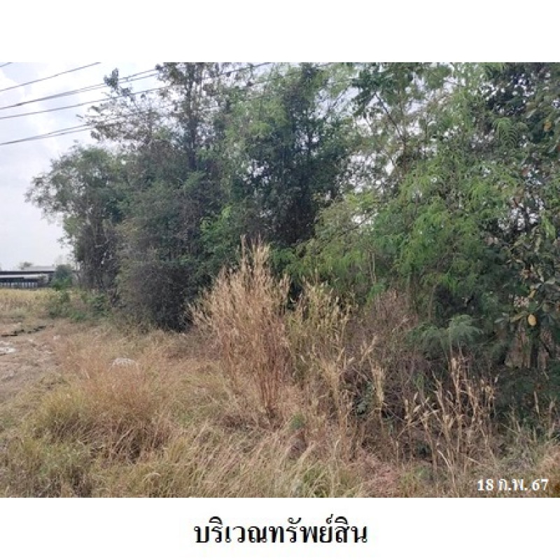 ที่ดินเปล่า นครราชสีมา สีคิ้ว กฤษณา 2400000