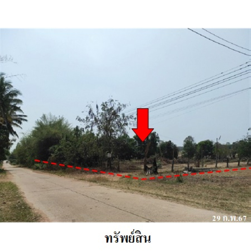 บ้านเดี่ยว กาฬสินธุ์ สหัสขันธ์ นิคม 2135900