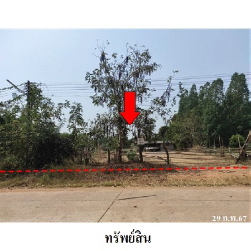 บ้านเดี่ยว กาฬสินธุ์ สหัสขันธ์ นิคม 2135900