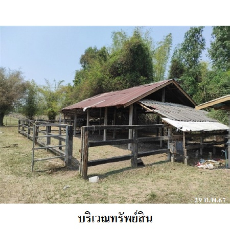 บ้านเดี่ยว กาฬสินธุ์ สหัสขันธ์ นิคม 2135900