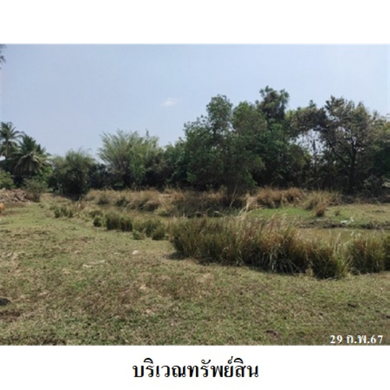บ้านเดี่ยว กาฬสินธุ์ สหัสขันธ์ นิคม 2135900