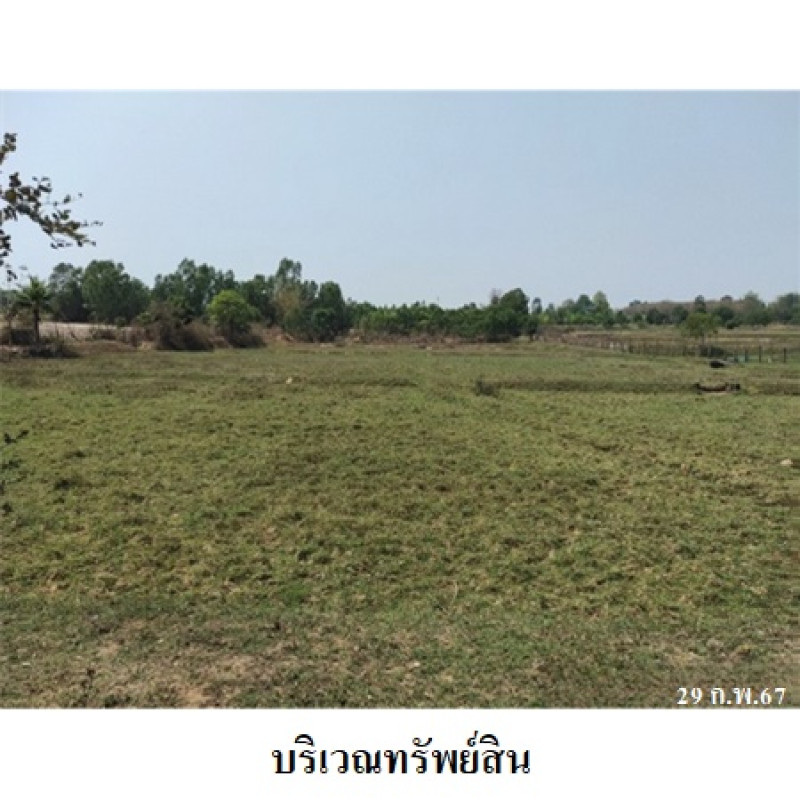 บ้านเดี่ยว กาฬสินธุ์ สหัสขันธ์ นิคม 2135900