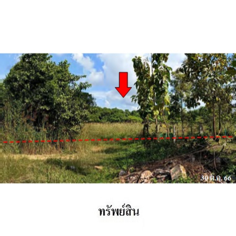 ที่ดินเปล่า ลำปาง เมืองลำปาง บ่อแฮ้ว 3269800