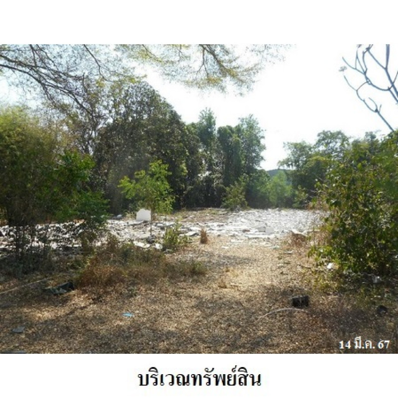 ที่ดินเปล่า สิงห์บุรี พรหมบุรี บ้านแป้ง 8720000