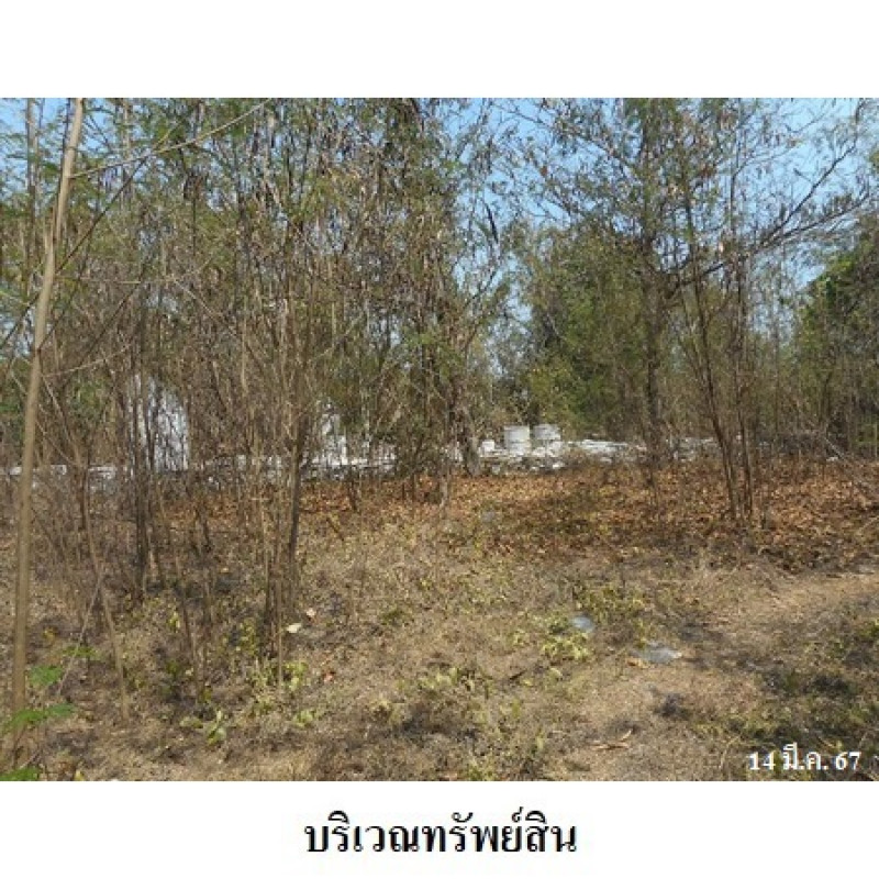 ที่ดินเปล่า สิงห์บุรี พรหมบุรี บ้านแป้ง 8720000