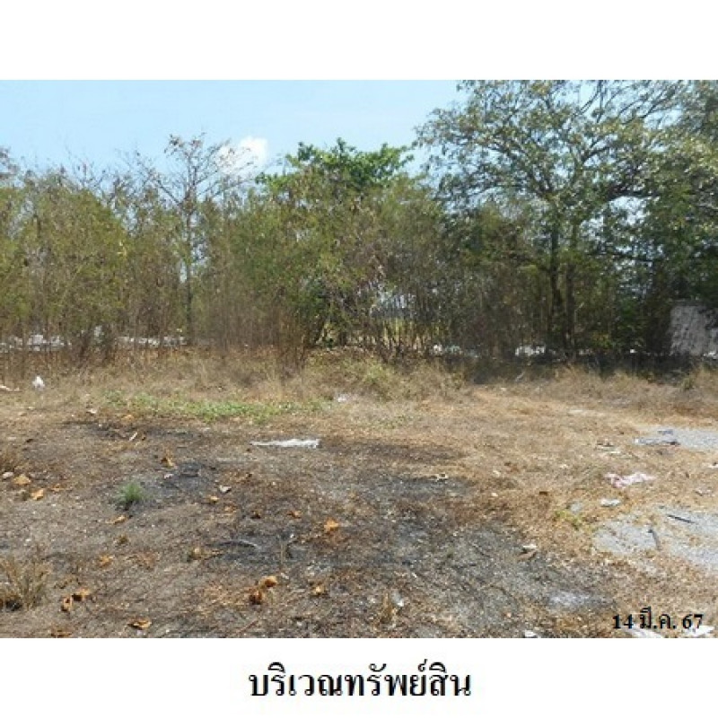 ที่ดินเปล่า สิงห์บุรี พรหมบุรี บ้านแป้ง 8720000