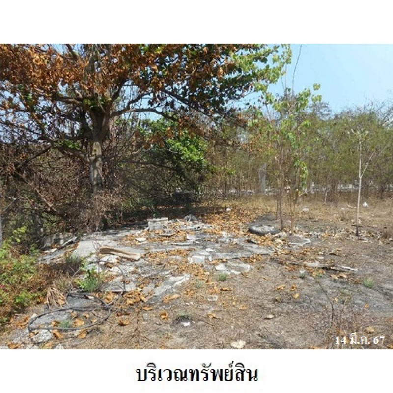 ที่ดินเปล่า สิงห์บุรี พรหมบุรี บ้านแป้ง 8720000