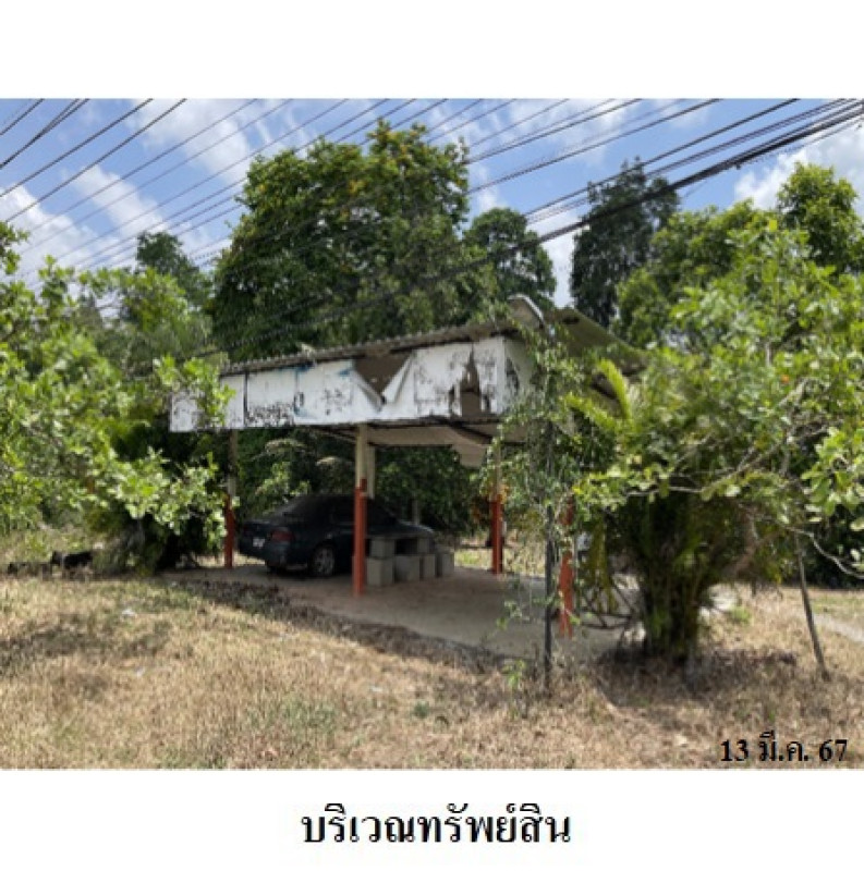 บ้านเดี่ยว พัทลุง เมืองพัทลุง นาโหนด 8560000