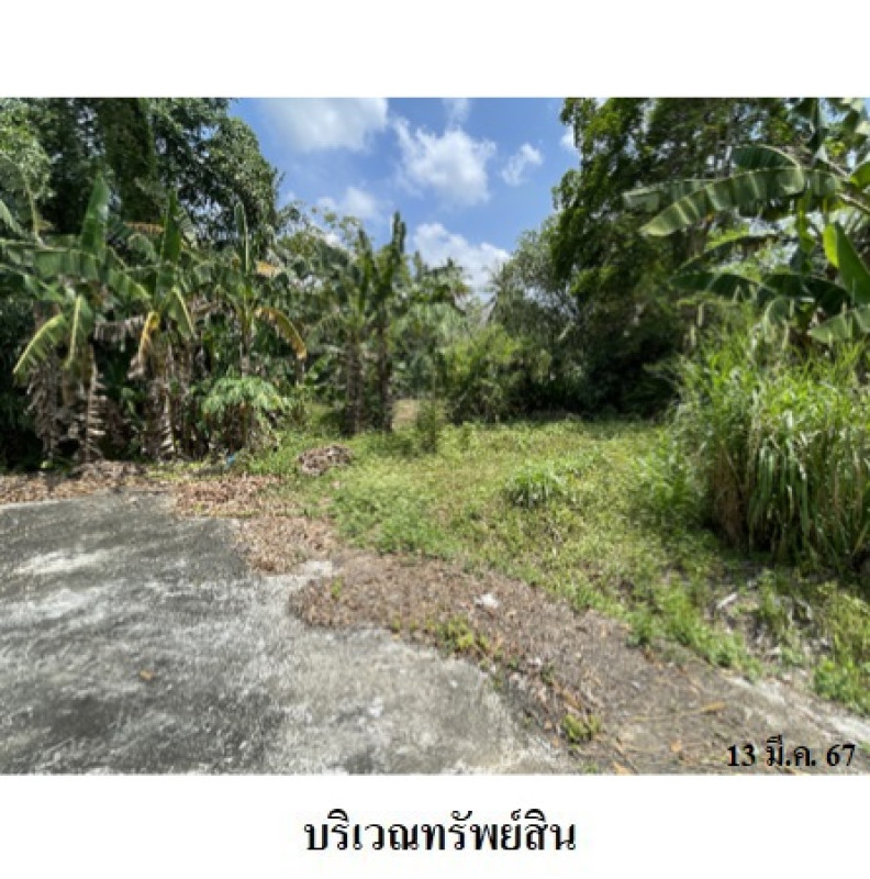 บ้านเดี่ยว พัทลุง เมืองพัทลุง นาโหนด 8560000