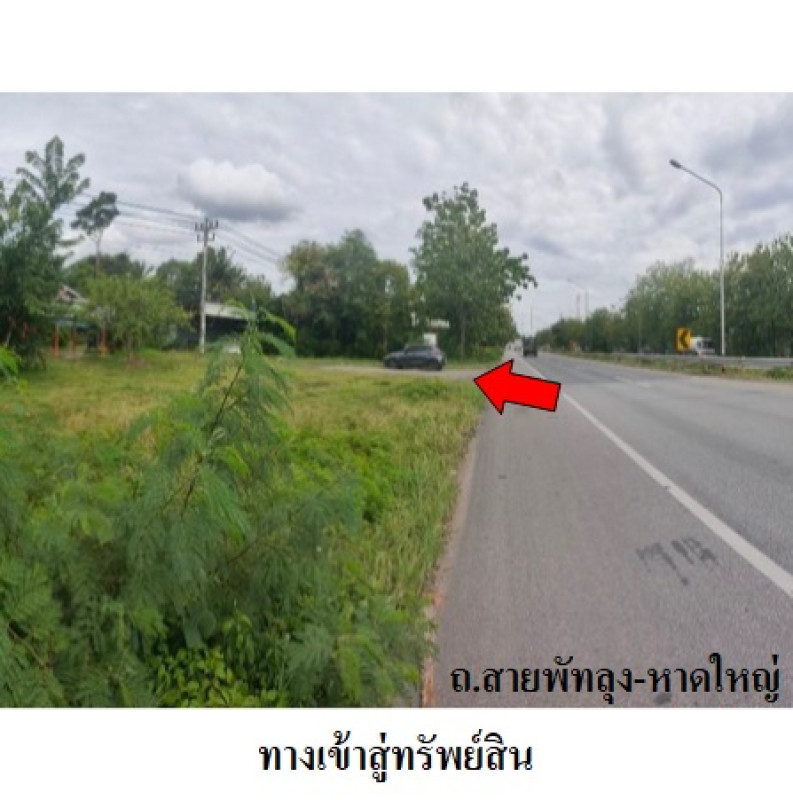 บ้านเดี่ยว พัทลุง เมืองพัทลุง นาโหนด 8560000