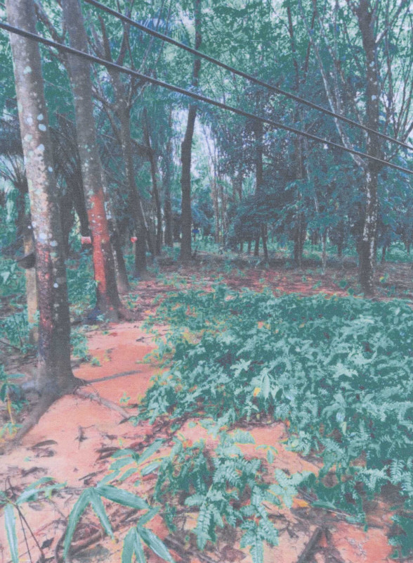 Residential land/lot Nakhon Si Thammarat Tha Sala Sa Kaeo 45840