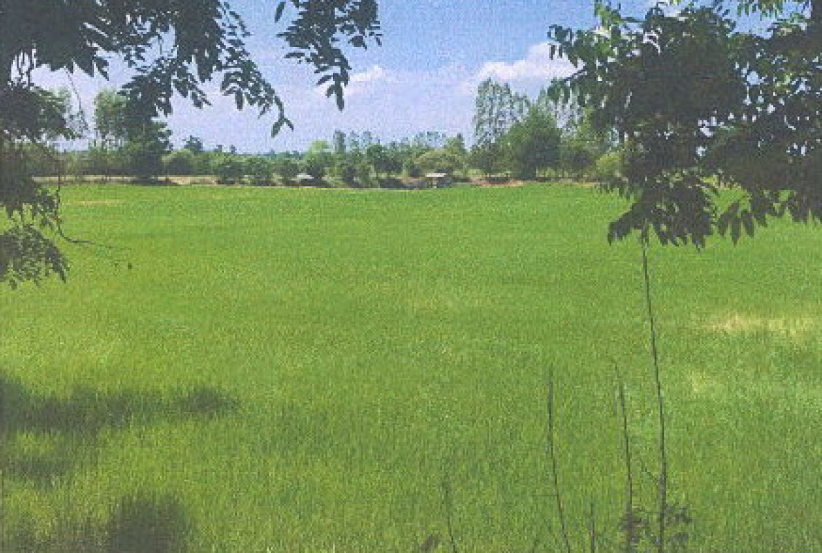 ที่ดินเปล่า สุโขทัย กงไกรลาศ บ้านกร่าง 0